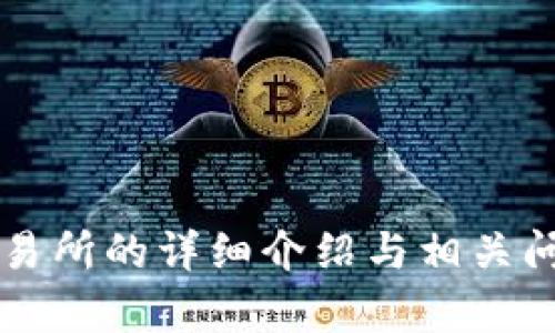 VV币交易所的详细介绍与相关问题解析