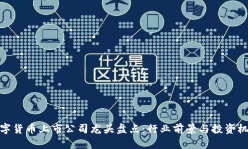 数字货币上市公司龙头盘点:行业前景与投资机会