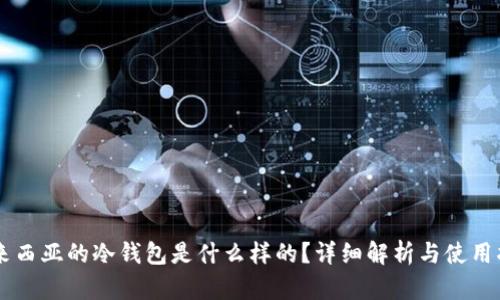 马来西亚的冷钱包是什么样的?详细解析与使用指南