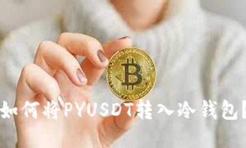 如何将PYUSDT转入冷钱包?