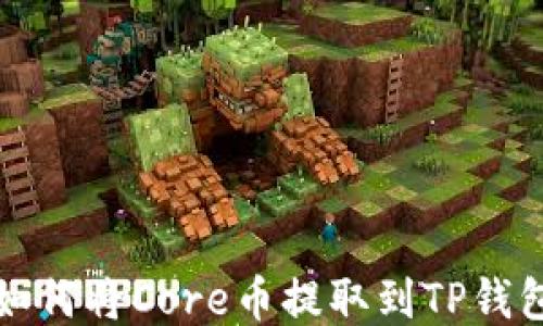 如何将Core币提取到TP钱包