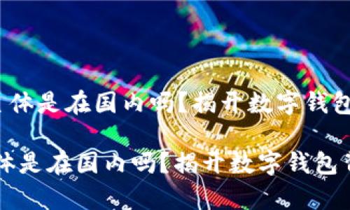 《t p钱包的主体是在国内吗?揭开数字钱包背后的真相》
t p钱包的主体是在国内吗?揭开数字钱包背后的真相