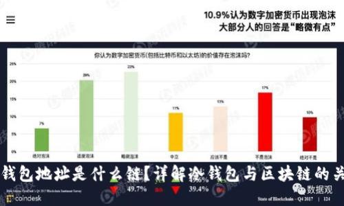 冷钱包地址是什么链?详解冷钱包与区块链的关系