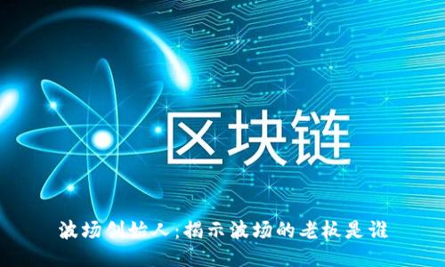 波场创始人:揭示波场的老板是谁