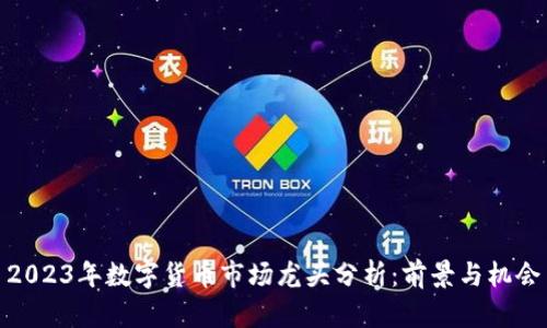 2023年数字货币市场龙头分析:前景与机会
