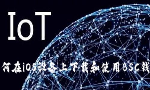 如何在iOS设备上下载和使用BSC钱包