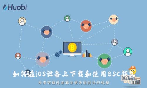 如何在iOS设备上下载和使用BSC钱包