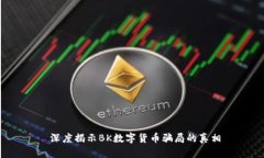  深度揭示BK数字货币骗局