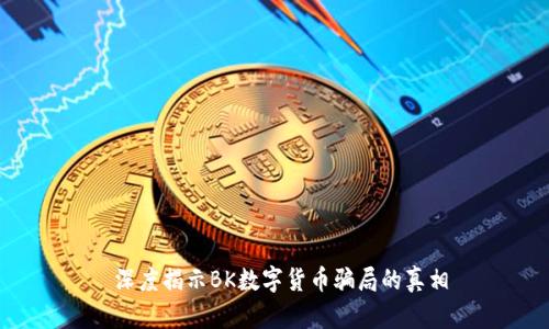 深度揭示BK数字货币骗局的真相