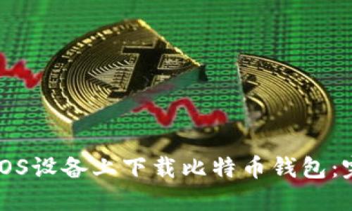 如何在iOS设备上下载比特币钱包:完整指南