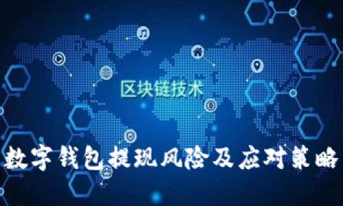 数字钱包提现风险及应对策略