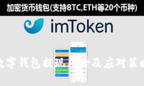 数字钱包提现风险及应对策略
