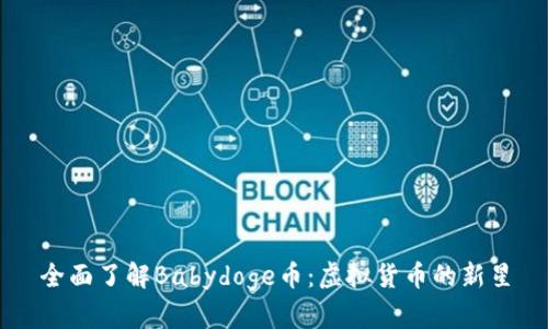 全面了解Babydoge币:虚拟货币的新星
