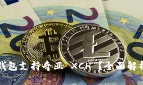 哪款冷钱包支持奇亚 XCH ？全面解析与推荐