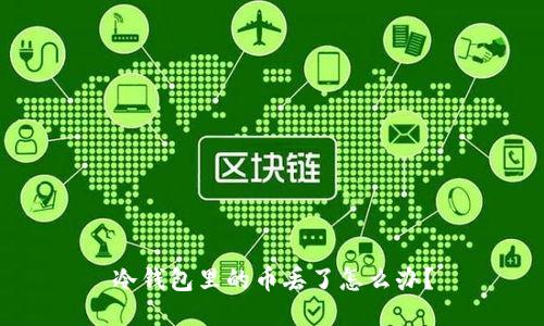 冷钱包里的币丢了怎么办?