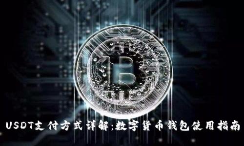 USDT支付方式详解:数字货币钱包使用指南