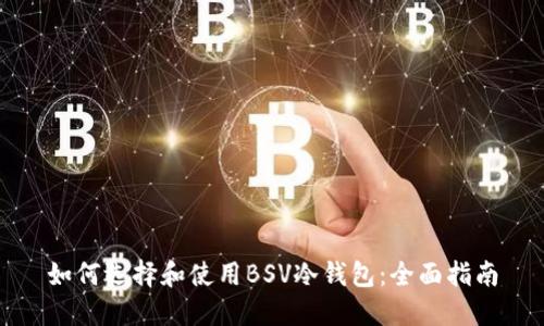 如何选择和使用BSV冷钱包:全面指南
