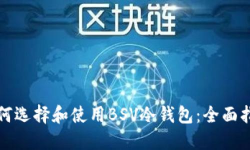 如何选择和使用BSV冷钱包:全面指南