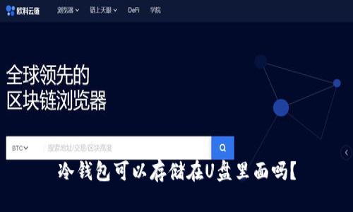 冷钱包可以存储在U盘里面吗?