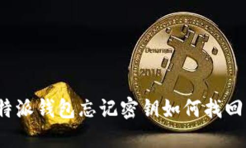 比特派钱包忘记密钥如何找回密码