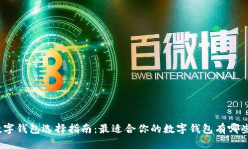 数字钱包选择指南:最适合你的数字钱包有哪些?