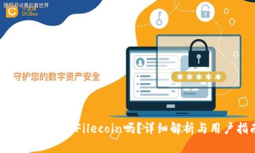 : TP钱包支持Filecoin吗?详细解析与用户指南