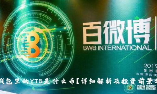 TP钱包里的YTB是什么币?详细解析及投资前景分析