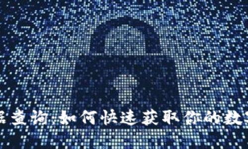 TP钱包数据查询:如何快速获取你的数字资产信息