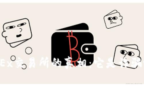 OKEx交易所的真相:它是诈骗吗?