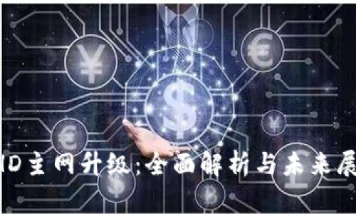 BHD主网升级:全面解析与未来展望