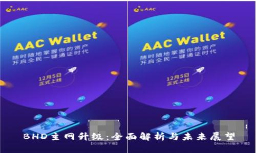 BHD主网升级:全面解析与未来展望