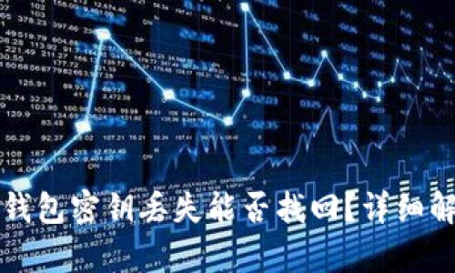 TP钱包密钥丢失能否找回?详细解析