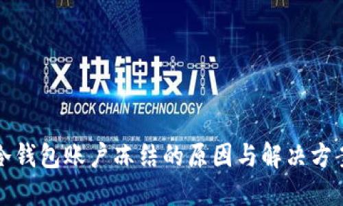 冷钱包账户冻结的原因与解决方案