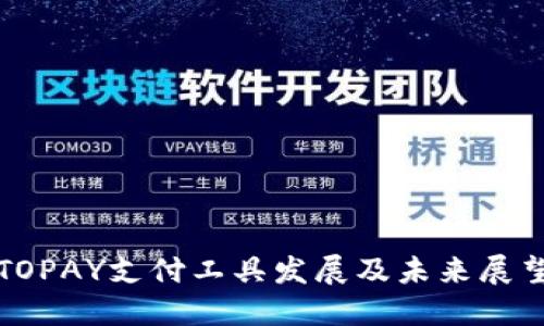 TOPAY支付工具发展及未来展望