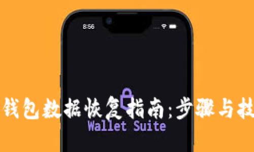 TP钱包数据恢复指南:步骤与技巧