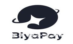 如何在iOS设备上安全使用