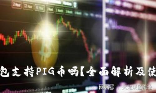 : TP钱包支持PIG币吗?全面解析及使用指南