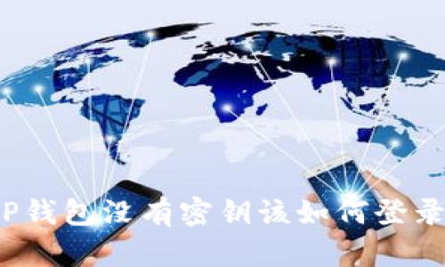TP钱包没有密钥该如何登录?