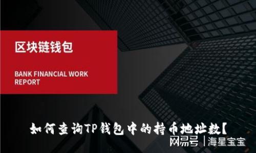 如何查询TP钱包中的持币地址数?