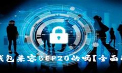 TP钱包兼容BEP20的吗？全面