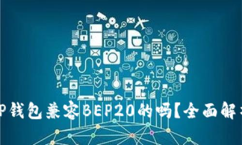 TP钱包兼容BEP20的吗?全面解析