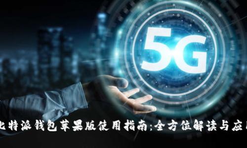 比特派钱包苹果版使用指南:全方位解读与应用