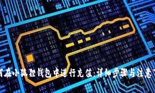 如何在小狐狸钱包中进行充值:详细步骤与注意事项