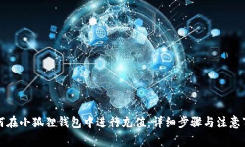如何在小狐狸钱包中进行充值:详细步骤与注意事项