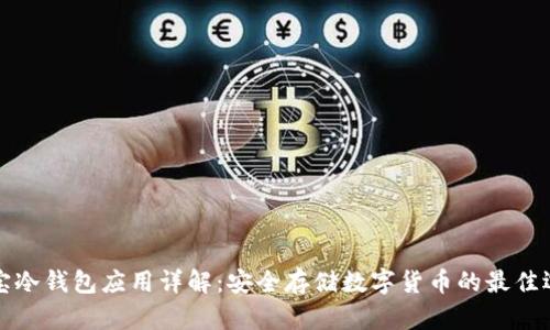 恒宝冷钱包应用详解:安全存储数字货币的最佳选择
