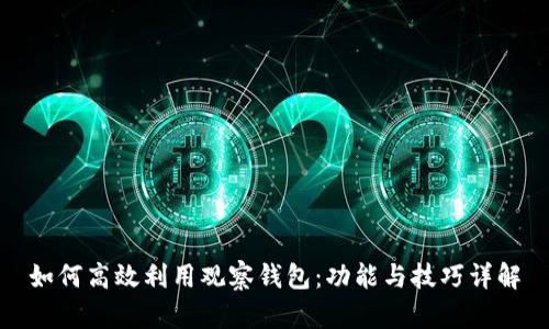 如何高效利用观察钱包:功能与技巧详解