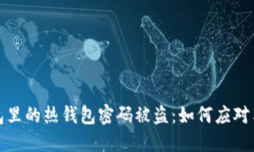 冷钱包里的热钱包密码被盗:如何应对与预防