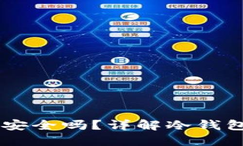 USDT放冷钱包安全吗?详解冷钱包的保障与风险