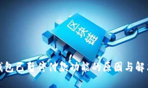 数字钱包已暂停付款功能的原因与解决办法