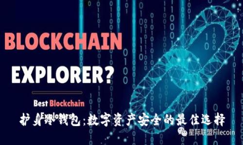 护身冷钱包:数字资产安全的最佳选择